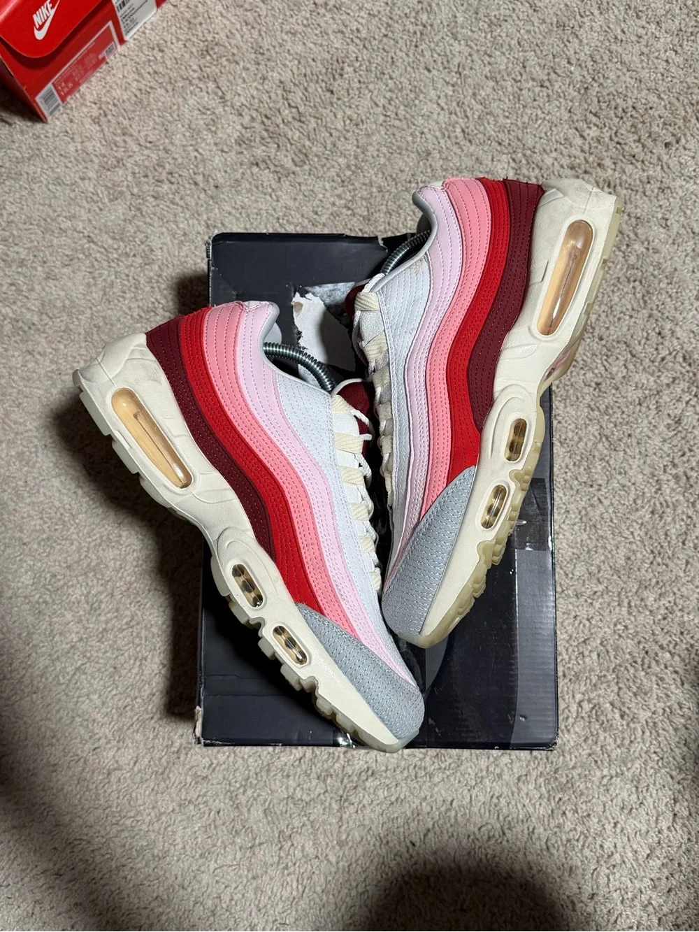 Nike Air Max 95 ‘Anatomy Of Air’ Men’s Low Top DM0012-600